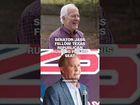 Senator jabs fellow Texas Republican running for his seat
