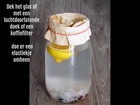 Video Waterkefir Maken