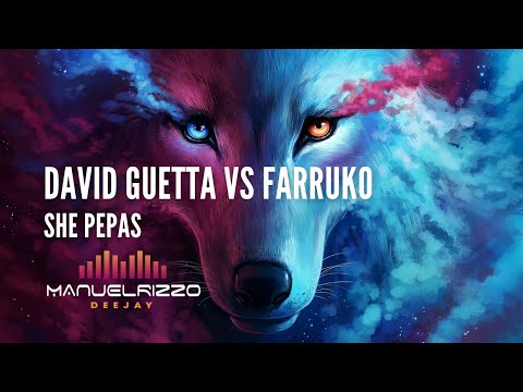 David Guetta VS Farruko   She Pepas (Manuel Rizzo DeeJay Mashup)