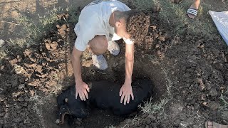 بوتشر مات ????