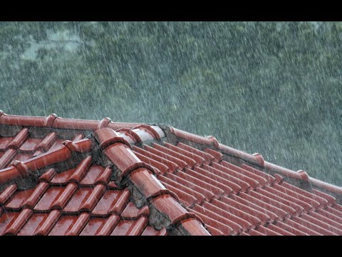 Som de Chuva em Telha de Barro Real