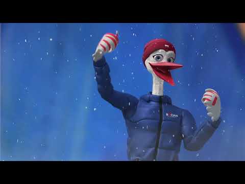 Bocian Finanse - Z bocianem polecisz dalej!