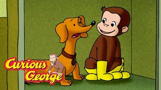 Lobby Dog George! 🐵 Full Episodes | Curious George