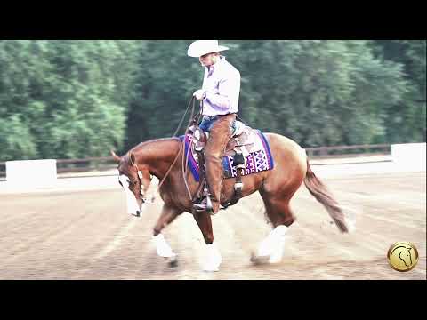 Behind the Prep with Tracer Gilson