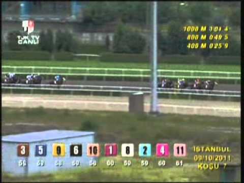 2011 Grup 1 byerley turk kosusu.wmv