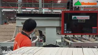 Woodmaster Cnc. MÁY LÀM MỘNG ÂM CNC 4 Đầu Trục giá rẻ nhất thị trường