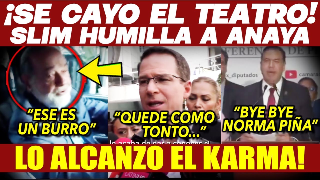 ANAYA SE QUEDO HELADO ¡MILLONARIO LO HUMILLA! SLIM VE MUCHO POTENCIAL. SE REUNE CON LA PRESIDENTA MX