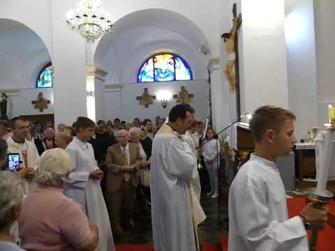 ZBOR ŽUPE BDM ŽALOSNE, Proštenje 2019  voditelj Marjan Padavić, orgulje Filip Fak   ulaz