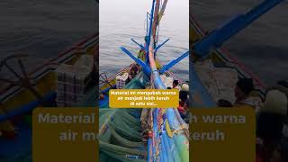 Download lagu The Phenomenon of 'Separated' Seawater at the Suramadu Bridge and the Taste of Madura Fish mp3