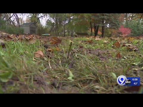 Homeowner says Spectrum Cable abused its power