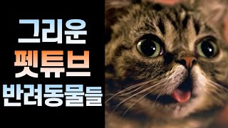 유튜브 썸네일