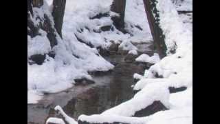 A Strange Winter Tale in Yosemite: Cello Solo composed by Mark Fitchett