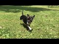 LuLu in Slow Motion