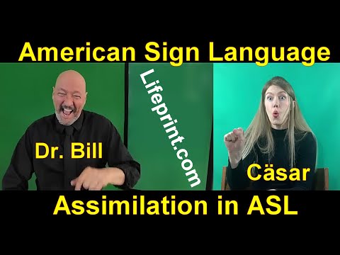 American Sign Language ASL Linguistics Part 01