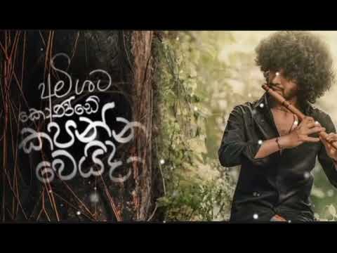 Amisha Minol අමිශ මිනොල්ට කොන්ඩෙ කපන්න වෙයිද  Simon Ayye සයිමන් අයියේ