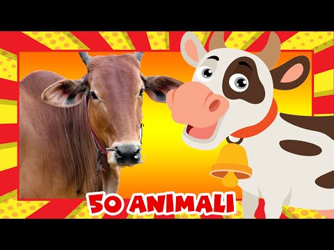 I Miei Primi 50 Animali (Nomi e Versi) 🎴 FLASHCARD + Animali Nella Vita Reale | Video Educativi