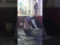 Hanguranketha Asela Perahara 2023 Ethule Perahara