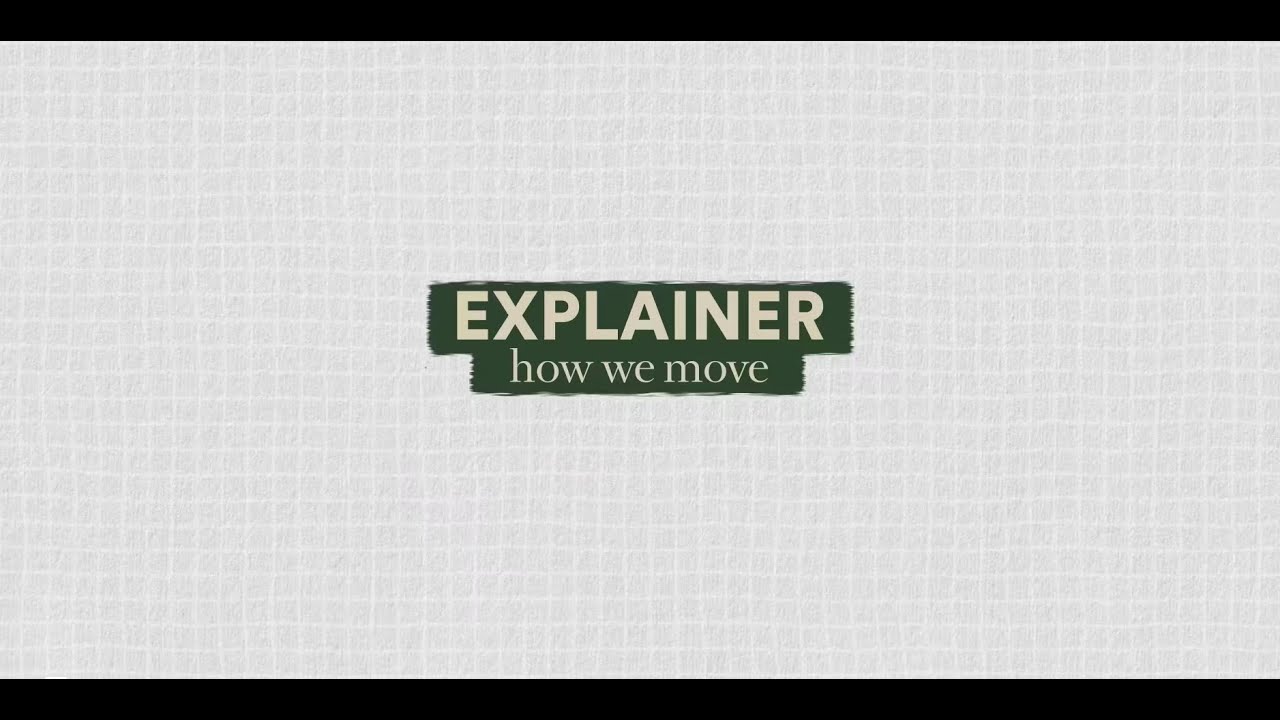 The Brain Prize Explainer – How we move