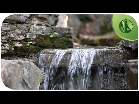 Nature Sounds: Music for Deep Relaxation with Flowing Water and Birds