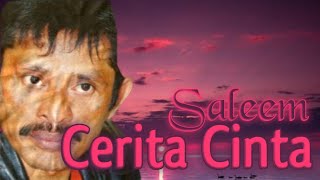 Download lagu SALEEM - Cerita Cinta | Video Lirik mp3