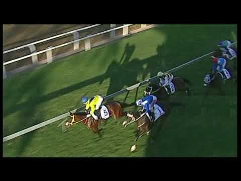 20190601 Greyville express clip Race 7 won by HAWWAAM
