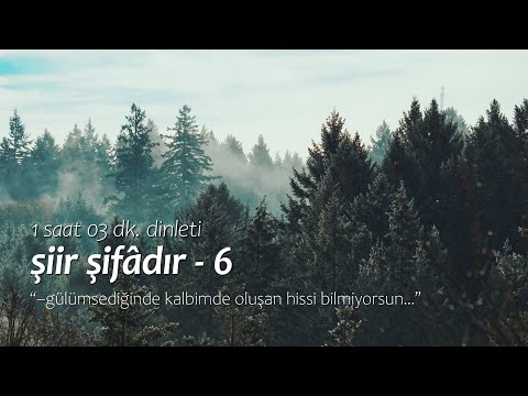 şiir şifâdır | en sevilenler - 6 (1 saat dinleti)