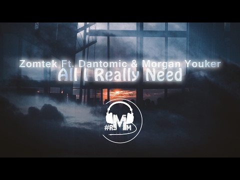 Zomtek Ft. Dantomic & Morgan Youker - All I Really Need