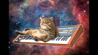 Black Moth Super Rainbow - Live at KEXP (2013)