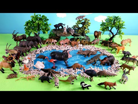 Fun Dioramas For Safari Animal Figurines - Endangered Animals