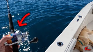 NC Grouper Fishing - 26 Miles Offshore Solo!?
