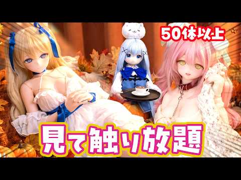 アニメドールコレクション 告知動画