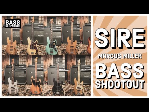 SIRE BASS SHOOTOUT // 13 Basses Compared