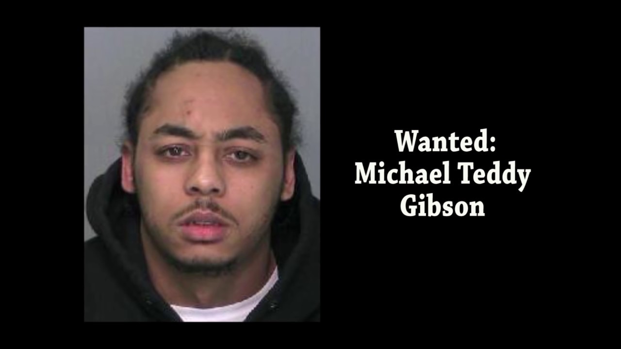 Wanted: Michael Teddy Gibson