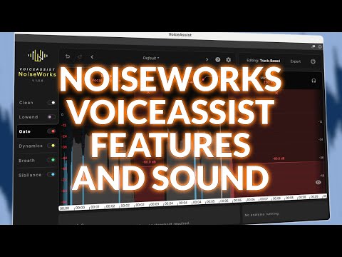 NoiseWorks VoiceAssist - Features And Sound