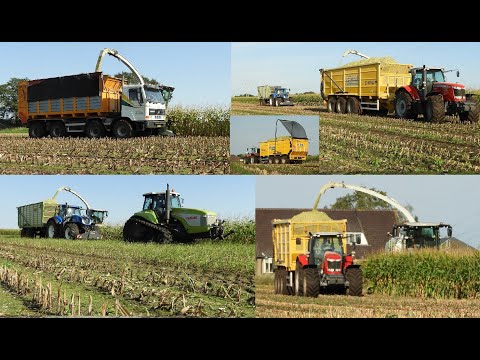 Loonbedrijf Reimink hakselt mais met Claas, Dewa, Terberg, NH, MF en Claas Challenger!