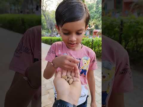 Jelly with imbali 🍡🍡🍡🍡 Lapar Lapar ha#shorts#jash14