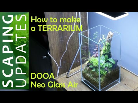 Terrarium making guide | How to make a terrarium? | DOOA Neo Glass Air Terrarium