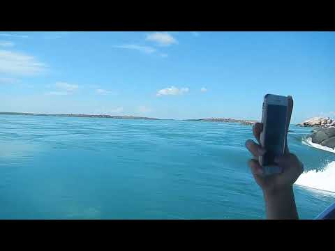 Is this the fastest tidal race on the planet?