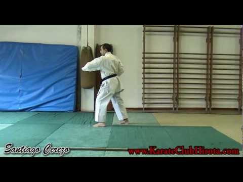 Niseishi (Shito-Ryu)