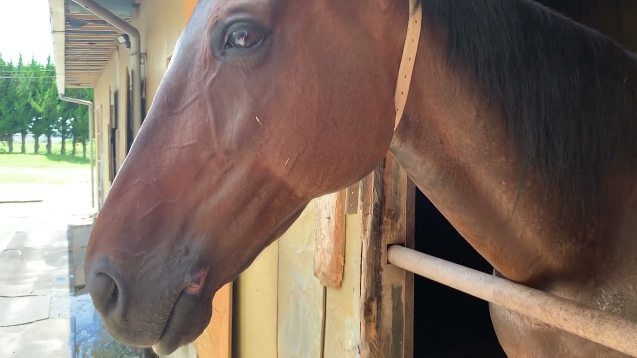 ウトウトする姿を見ているだけでも癒されます