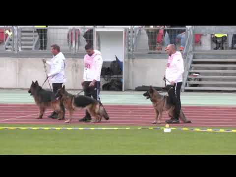 #bszs2022 - VA - WACRON dei Rione Antico - Progeny Group