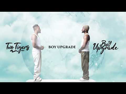 Two Tigers - Boy Upgrade Official Visualiser)