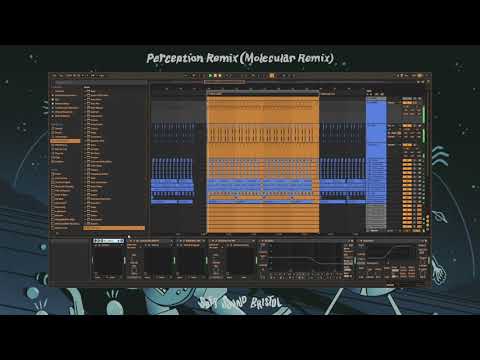 Molecular Ableton Drum Tutorial- DLR, Script, Mc Fokus- Perception [Molecular Remix]