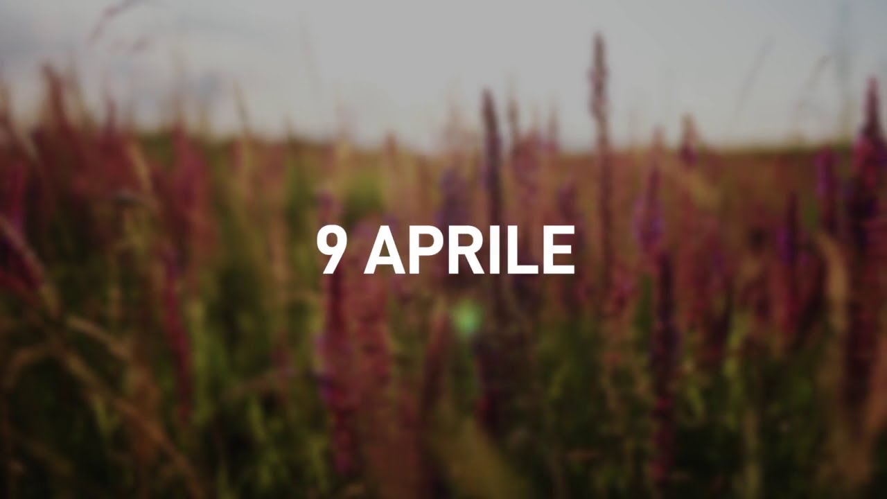 9 Aprile 2025 | Meditazione Parole di Vita