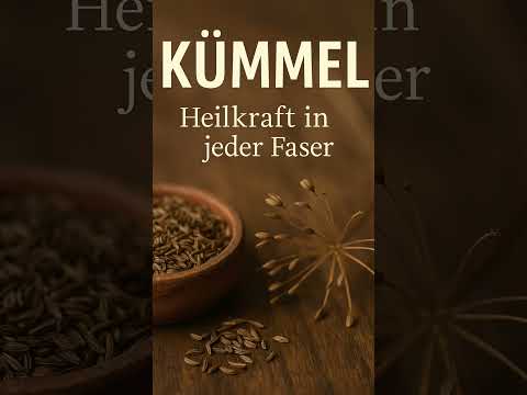 „Kümmel – Alte Heilpflanze neu entdeckt"