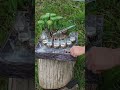 Автоматичний наливатор «Рибак» на 7 чарок — Ексклюзивний диспенсер для напоїв