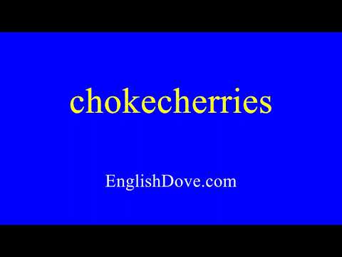 How to pronounce chokecherries in American English