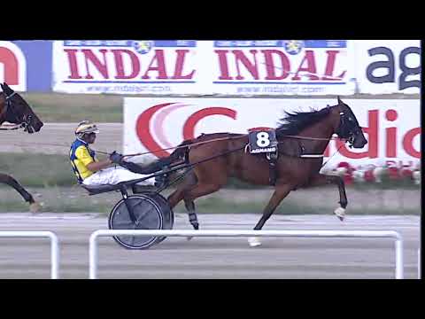 Napoli Trotto 08/09/2023 - 3ª corsa