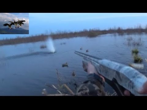 Охота на селезня 'Отличная утрянка 2019' (Duck hunting-2)