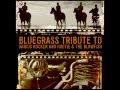 She's Beautiful - Bluegrass Tribute to Darius Rucker and Hootie & The Blowfish